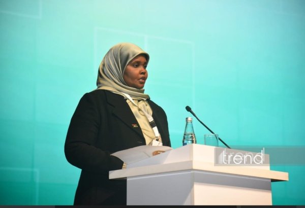 Baku Creative Week discusses new approaches to co-op in creative sphere, Libya's minister says