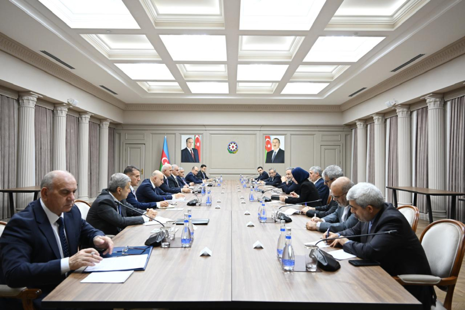 Azerbaijani Deputy PM discusses issues of co-op with Iranian FM