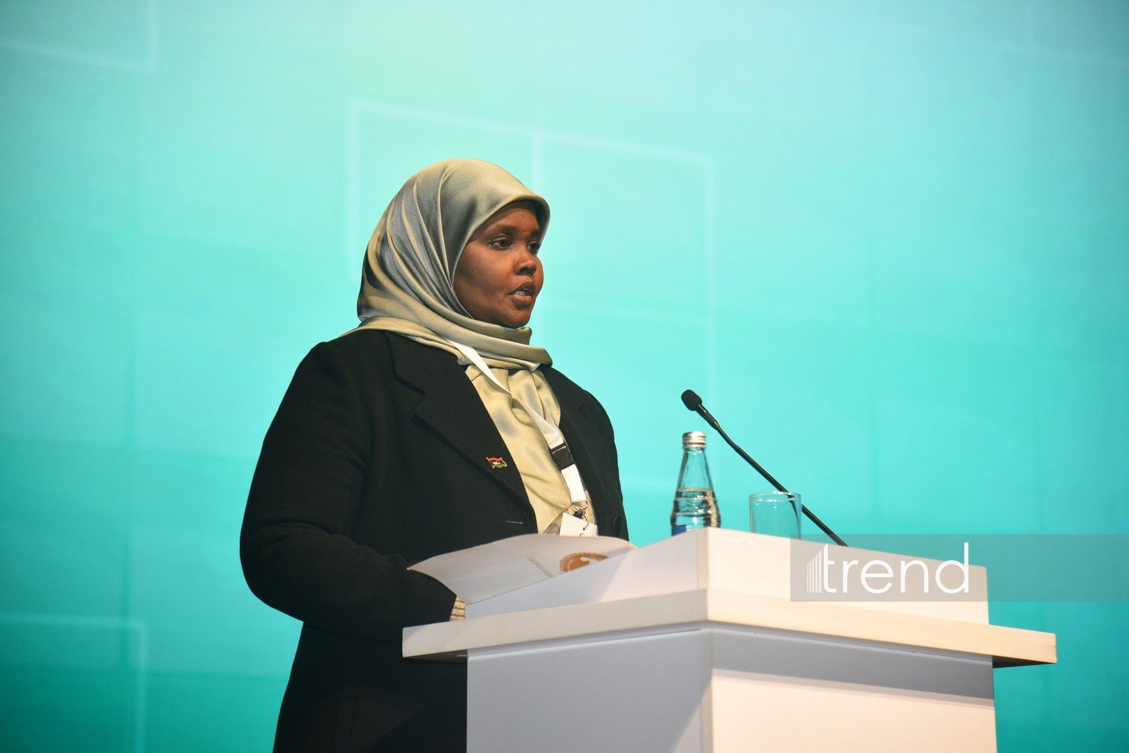 Azerbaijan's Baku hosts opening ceremony for OIC Culture Festival (PHOTO)