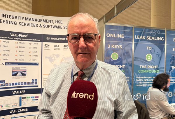 International consultant weighing cooperation opportunities with Azerbaijani companies