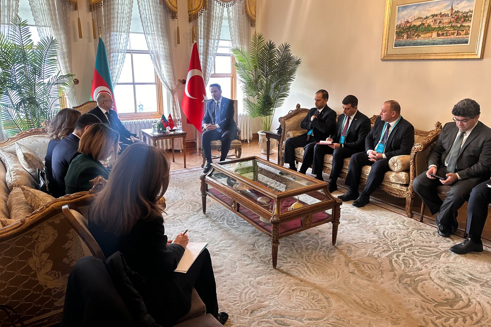 Azerbaijani-Turkish energy ministers discuss energy co-op in Istanbul (PHOTO)