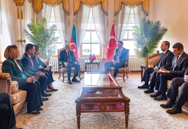 Azerbaijani-Turkish energy ministers discuss energy co-op in Istanbul (PHOTO)