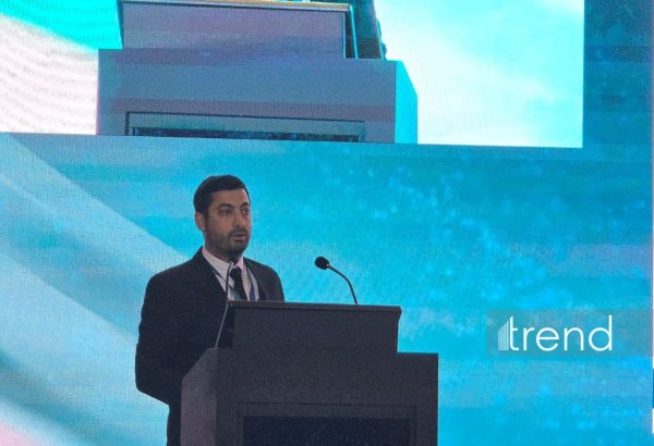 Integrity of TANAP's pipeline calls for keeping corrosion safe - senior integrity engineer