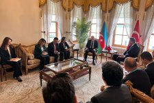 Azerbaijani-Turkish energy ministers discuss energy co-op in Istanbul (PHOTO)