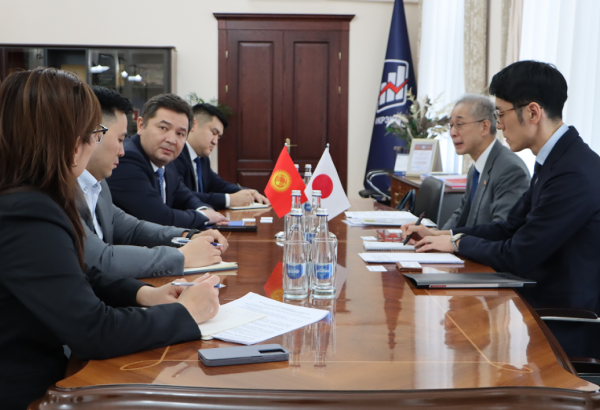 Kyrgyzstan and Japan discuss strengthening trade and economic co-op