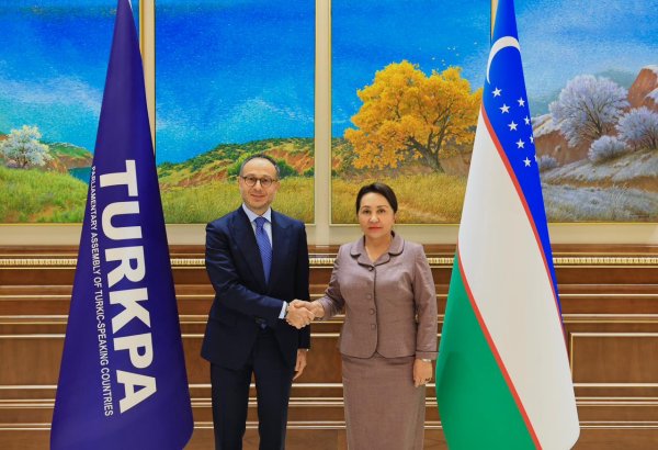 Chairperson of Senate of Oliy Majlis of Uzbekistan receives TURKPA SecGen (PHOTO)
