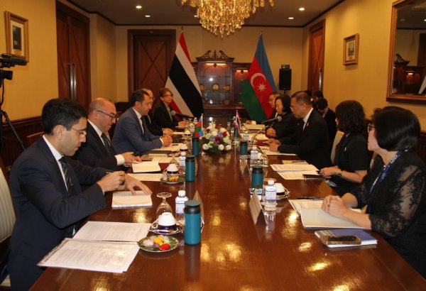 Azerbaijan and Thailand hold debut political consultations