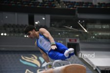Baku hosts National Championship in artistic gymnastics (PHOTO)