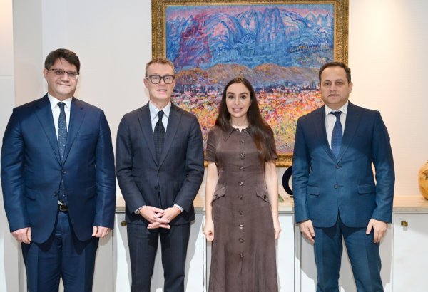 Vice-President of Heydar Aliyev Foundation Leyla Aliyeva meets with Special Representative of WHO Regional Office for Europe (PHOTO)