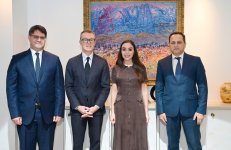 Vice-President of Heydar Aliyev Foundation Leyla Aliyeva meets with Special Representative of WHO Regional Office for Europe (PHOTO)