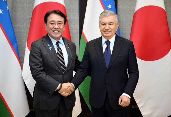 Uzbekistan and Japan shed light on ambitious bilateral investment projects