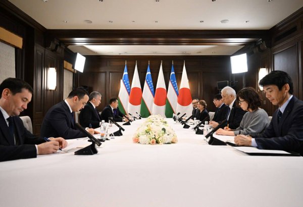 Uzbekistan, Japan set sights on expanding precious metal development