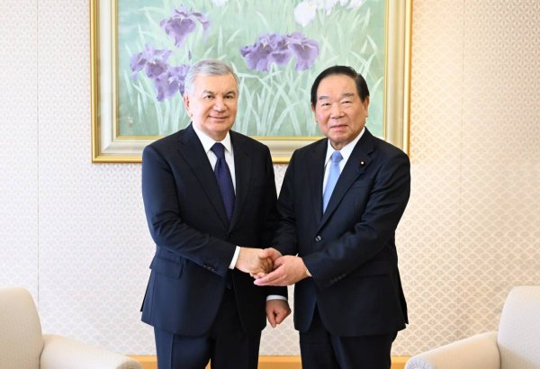 乌兹别克斯坦与日本计划深化议会合作