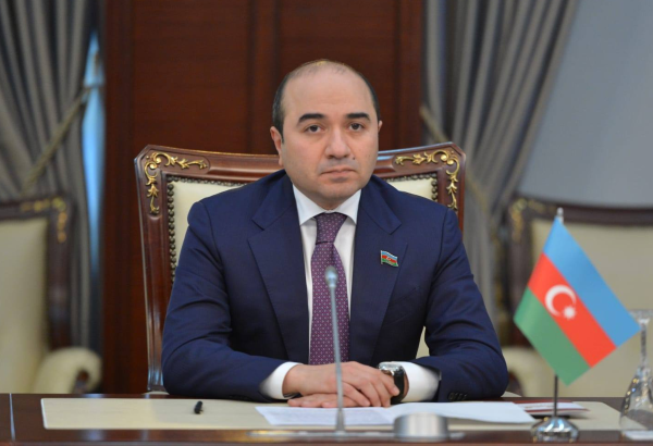 MP сalls EU Parliament's resolution smear campaign against Azerbaijan’s independent policy