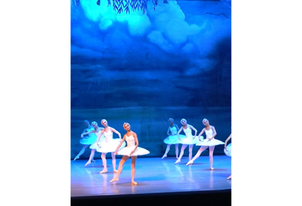 All tickets sold out for Swan Lake ballet in Azerbaijan's Baku (VIDEO)