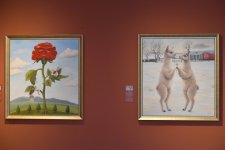 Alpacas by Sol Alejo shine at Baku’s Heydar Aliyev Center (PHOTO/VIDEO)