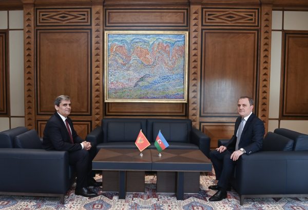 Azerbaijani, Montenegrin foreign ministers holding meeting
