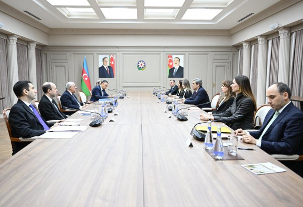 Azerbaijan's prime minister holds meeting with deputy PM of Montenegro