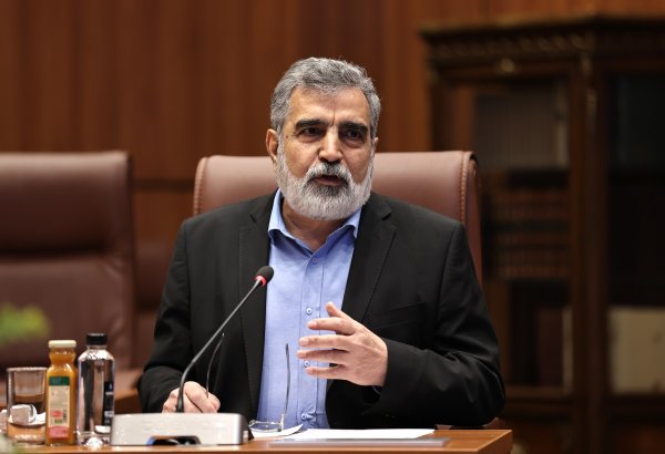 Iran calls for consideration of its requirements in IAEA talks