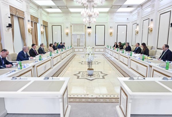 Azerbaijani Parliament Speaker meets Montenegro’s Deputy PM (PHOTO)