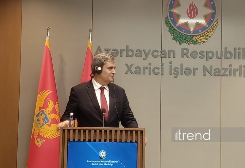 Montenegro welcomes Azerbaijani-Armenian agreements in Washington - foreign minister