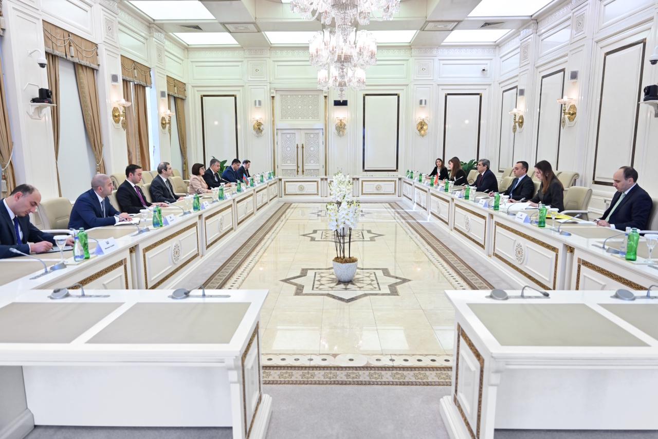 Azerbaijani Parliament Speaker meets Montenegro’s Deputy PM (PHOTO)