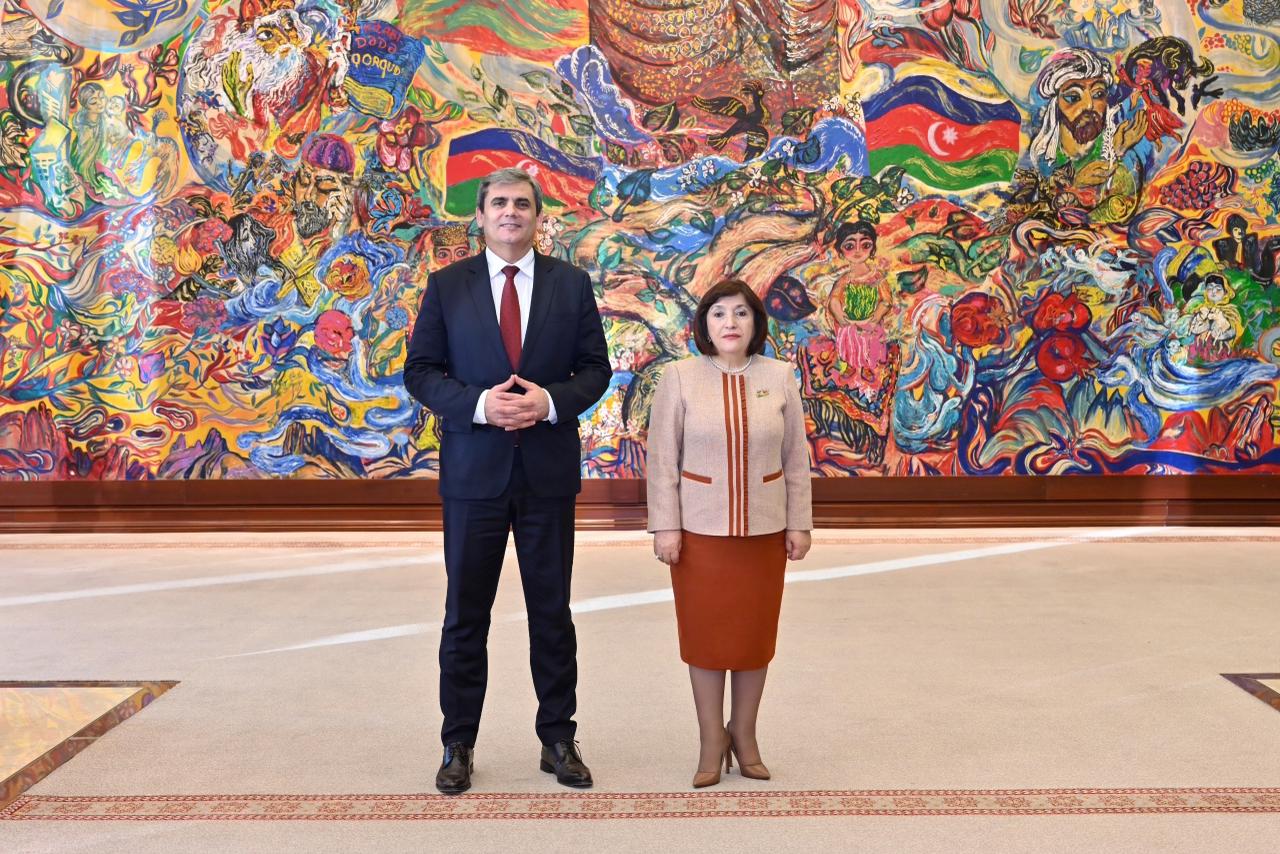 Azerbaijani Parliament Speaker meets Montenegro’s Deputy PM (PHOTO)