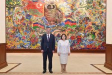 Azerbaijani Parliament speaker meets with Turkish VP