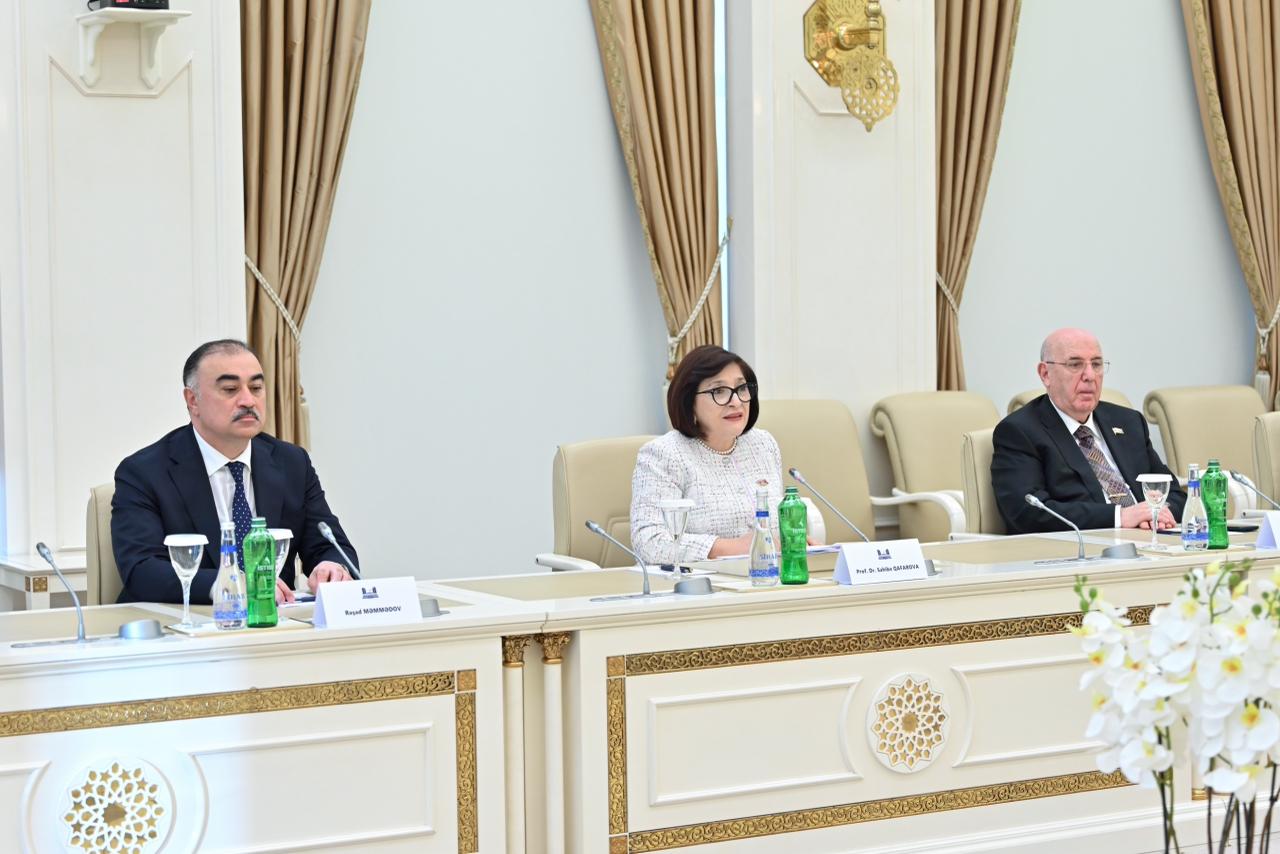 Azerbaijani Parliament speaker meets with Turkish VP