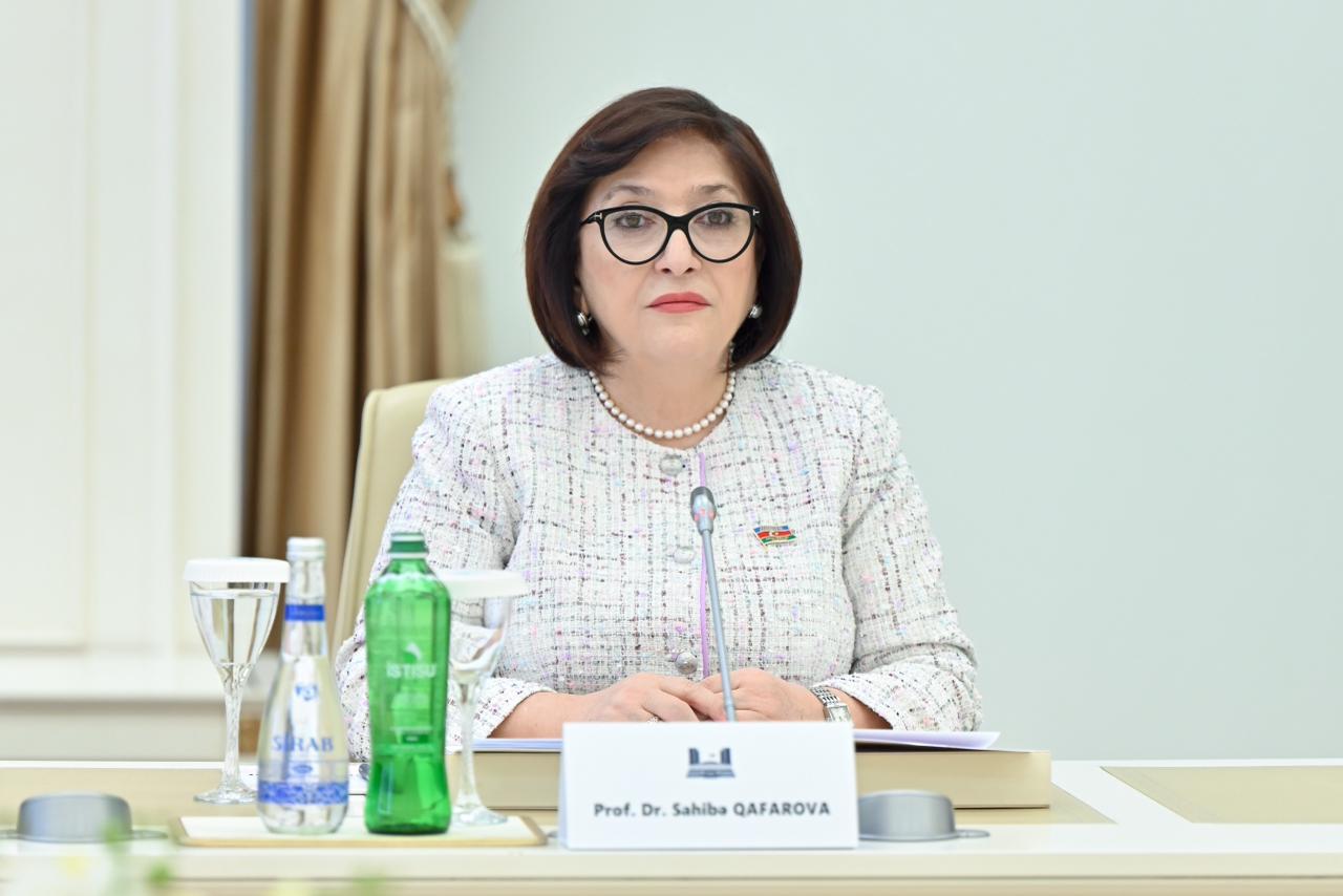 Azerbaijani Parliament speaker meets with Turkish VP