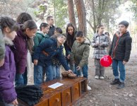 VP of Heydar Aliyev Foundation Leyla Aliyeva attends festivity for children at Central Botanical Garden (PHOTO)