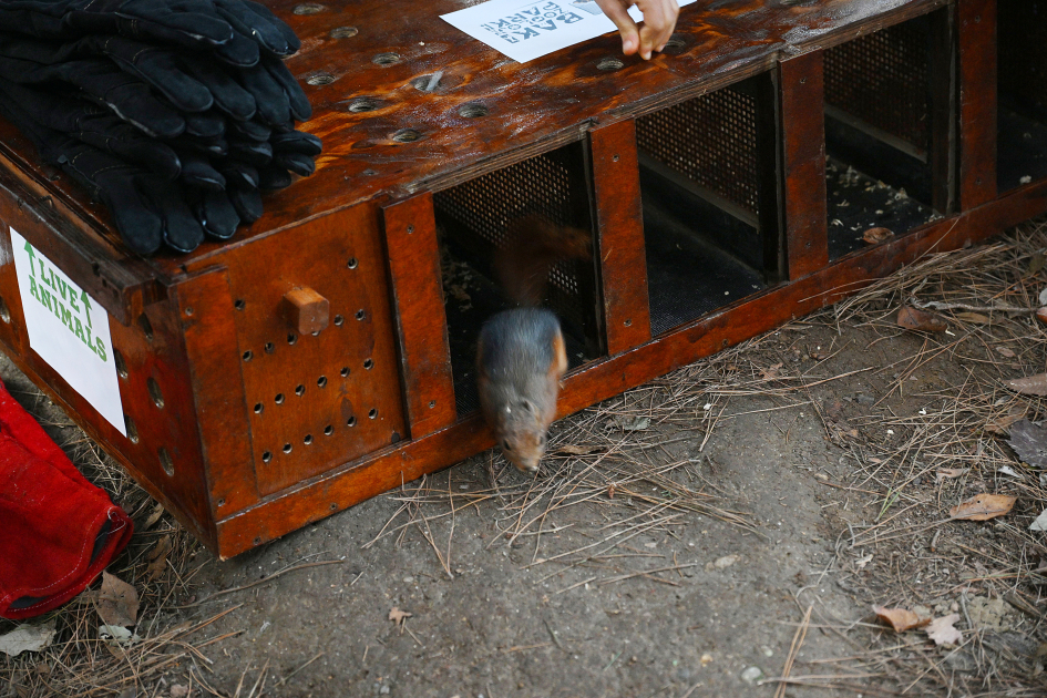 VP of Heydar Aliyev Foundation Leyla Aliyeva attends festivity for children at Central Botanical Garden (PHOTO)