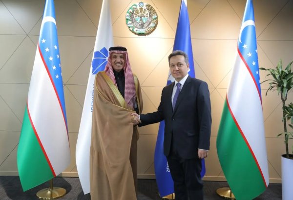 Uzbekistan, Saudi Arabia review progress on green data center project