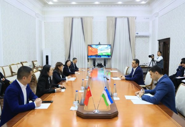 Uzbekistan, China discuss implementation of energy projects in Fergana region