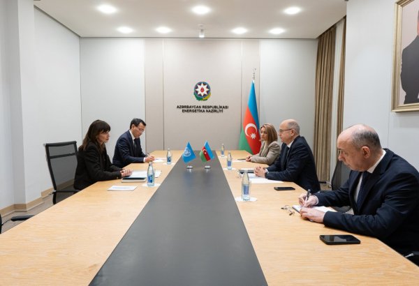 Azerbaijan and UN discuss energy efficiency issues