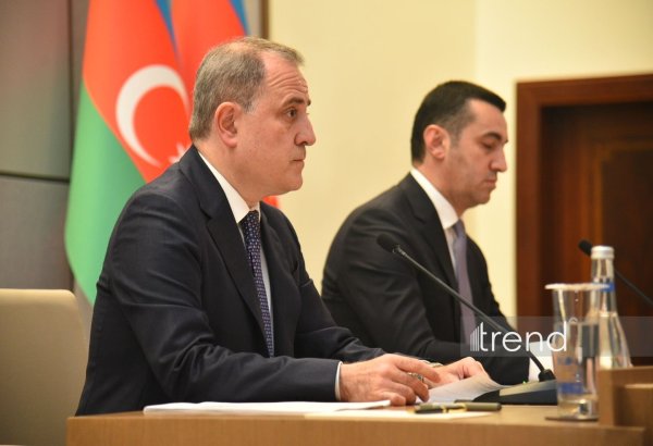 Azerbaijani FM highlights continued efforts to keep missing persons issue global