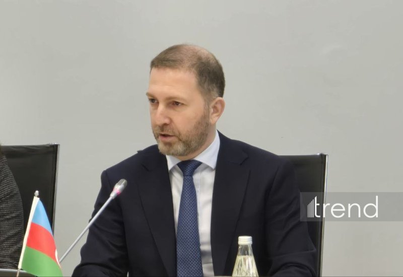 Azerbaijan’s green energy exports to Türkiye set for final review - Trade rep (Exclusive)