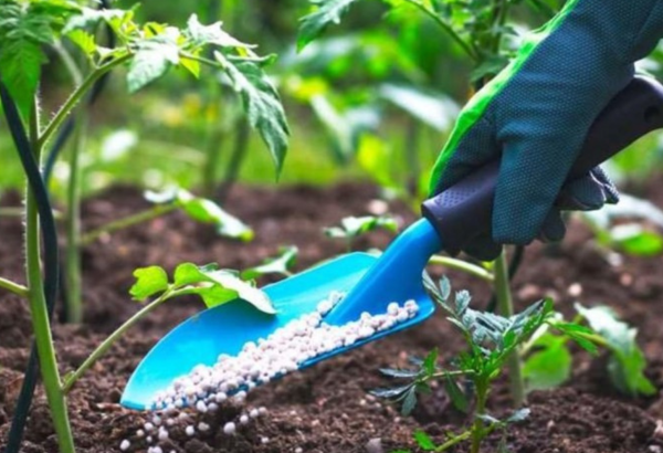 Azerbaijan lifts curtain on fertilizer export and import metrics in 3M2026