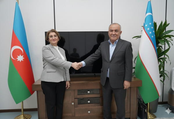 Uzbekneftegaz, SOCAR review geological exploration at Ustyurt blocks