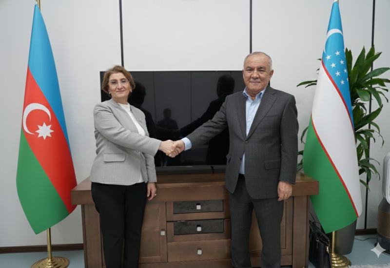 Uzbekneftegaz, SOCAR review geological exploration at Ustyurt blocks