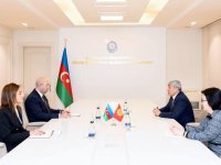 Azerbaijan, Kyrgyzstan discuss cooperation in urban planning and architecture (PHOTO)