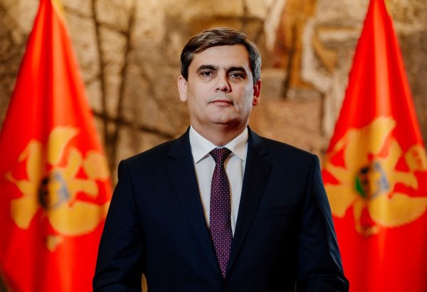 Ervin Ibrahimović names promising areas for Azerbaijani investments in Montenegro