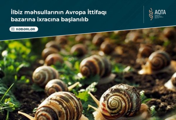Azerbaijan set to export its Salyan plant-grown snails to EU