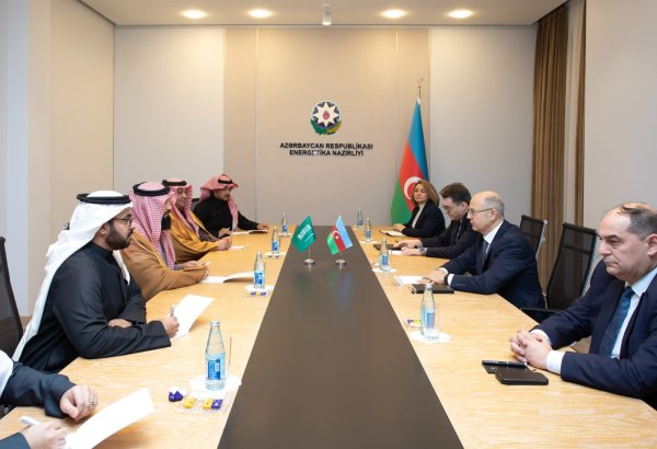 Azerbaijan, Saudi Arabia discuss energy cooperation