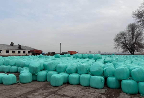 Kyrgyzstan strengthens feed resources at state breeding farm