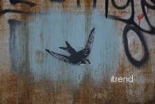 Baku's graffiti: Street art revolution that talks, transforms, and thrives (PHOTO)