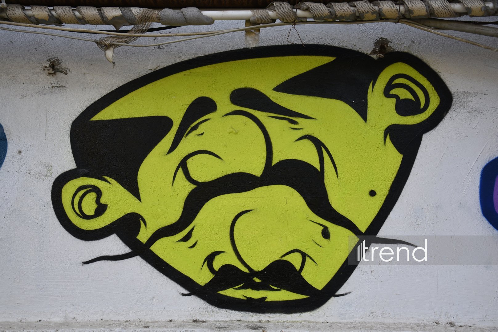 Baku's graffiti: Street art revolution that talks, transforms, and thrives (PHOTO)