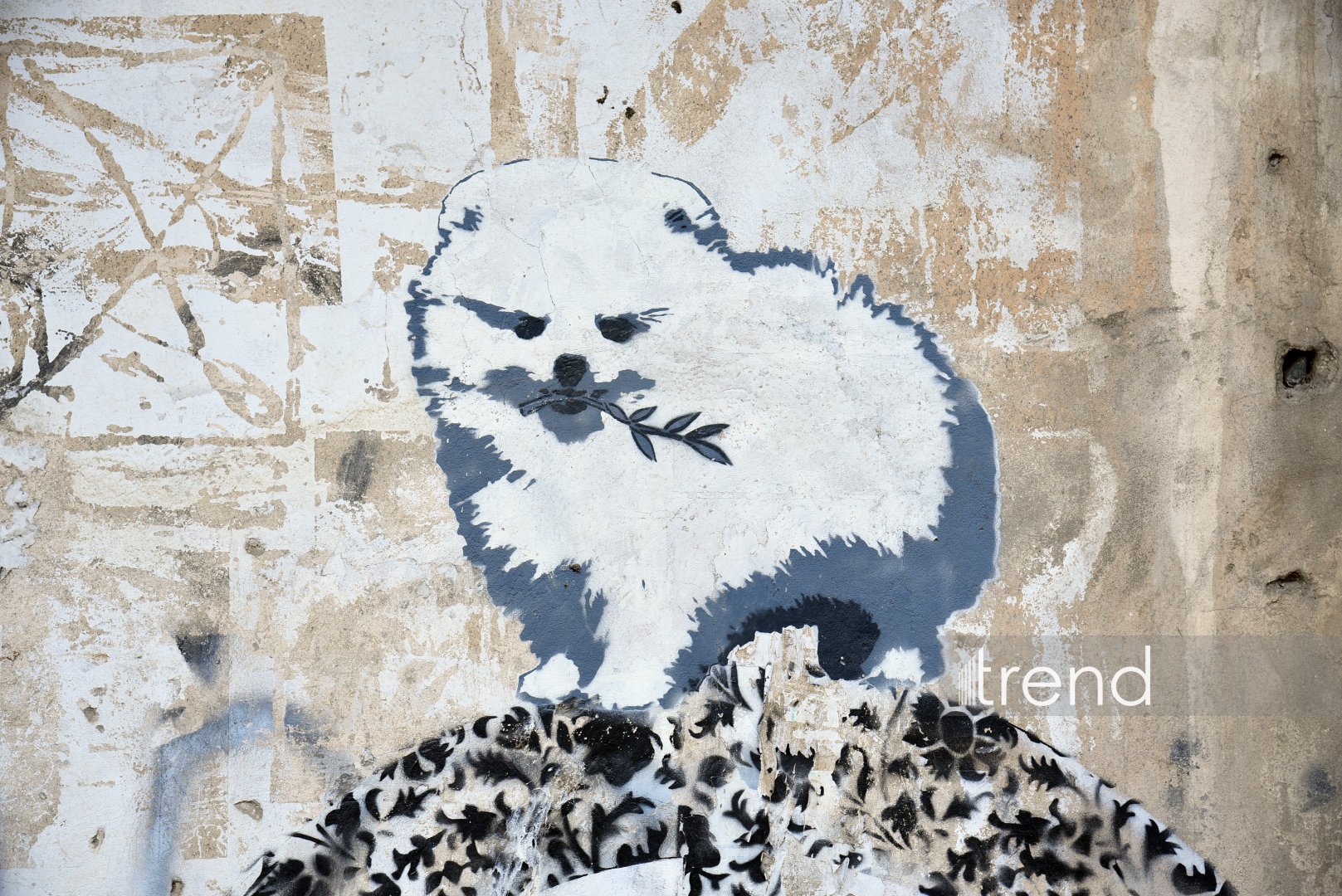 Baku's graffiti: Street art revolution that talks, transforms, and thrives (PHOTO)