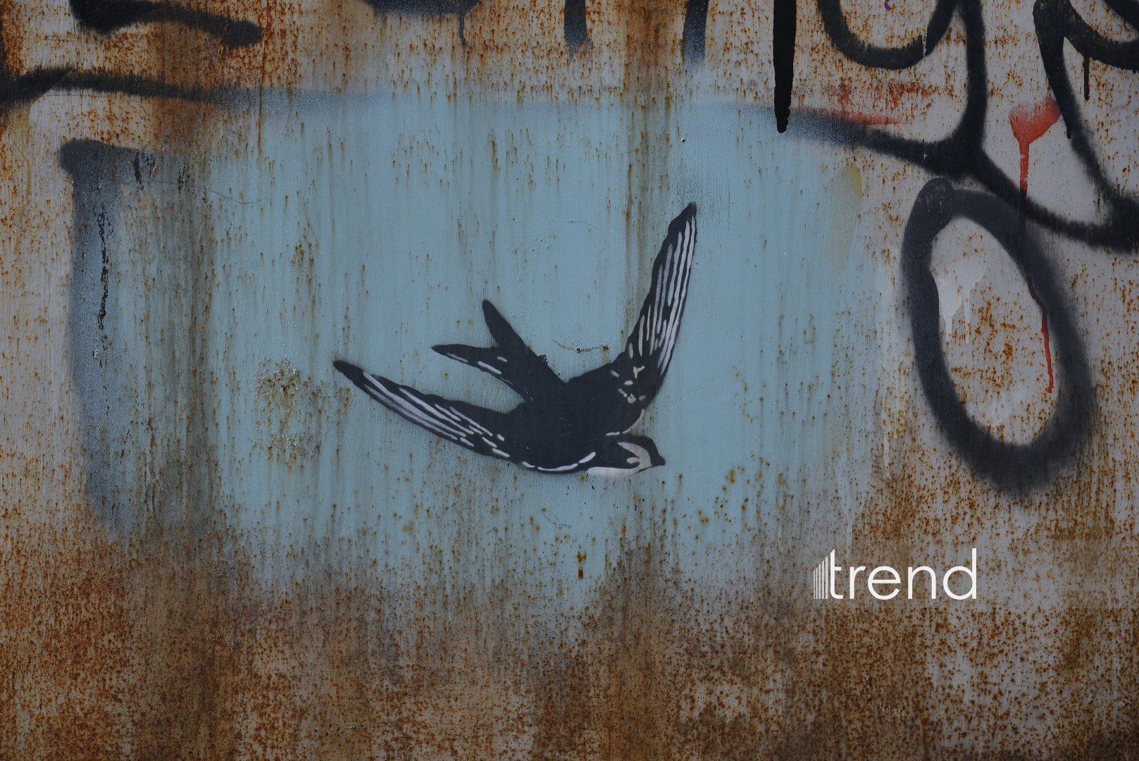 Baku's graffiti: Street art revolution that talks, transforms, and thrives (PHOTO)