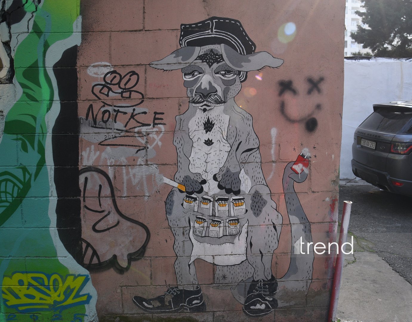 Baku's graffiti: Street art revolution that talks, transforms, and thrives (PHOTO)